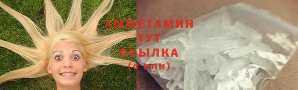 apvp Ельня