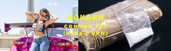 apvp Ельня