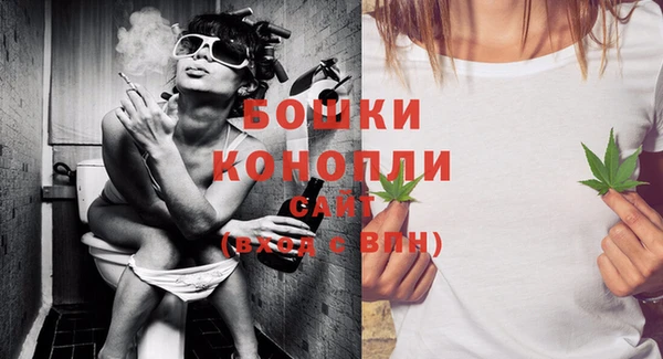 apvp Ельня