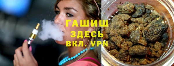 apvp Ельня